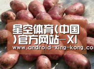 产品展示标题5