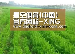 种植基地四